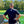Northwest Board 168 IAABO Short Sleeve